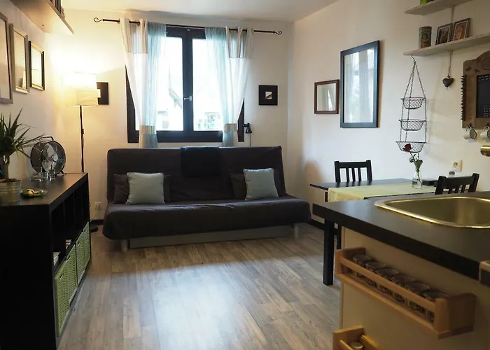 فندق Chamonix-sud Studio