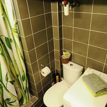 Chamonix-sud Studio מלון