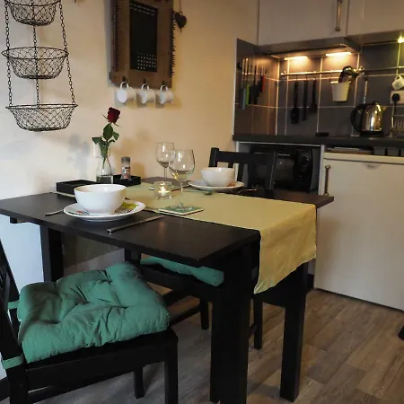 מלון Chamonix-sud Studio